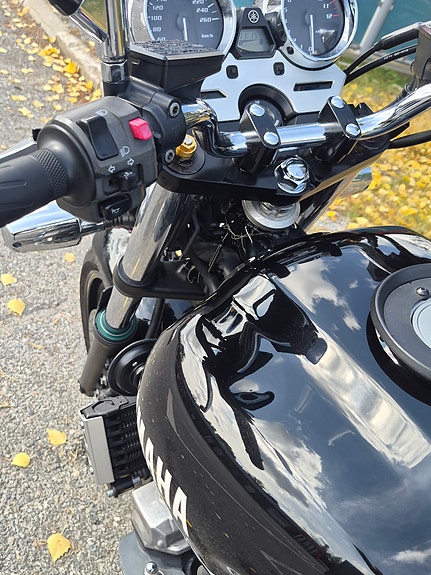 Yamaha YAMAHA XJR1300 3 of 6