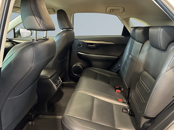 Lexus NX450h+ 13 of 21