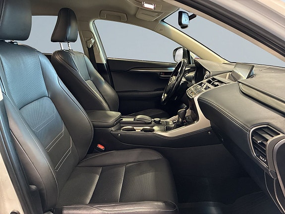 Lexus NX450h+ 10 of 21