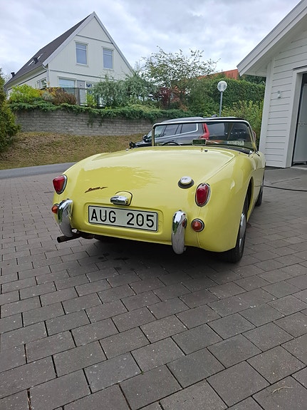 Austin Healey Sprite 2 of 6