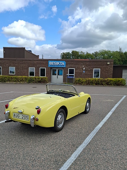 Austin Healey Sprite 5 of 6