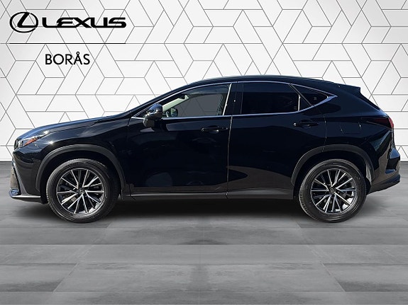 Lexus NX450h+ 3 of 24