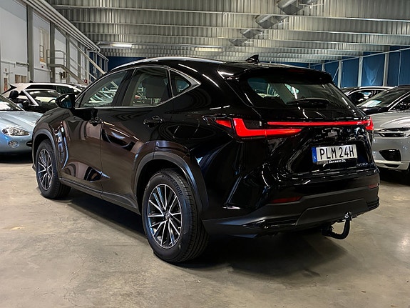 Lexus NX350h 5 of 26