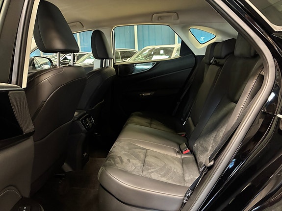 Lexus NX350h 16 of 26