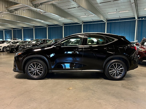 Lexus NX350h 6 of 26