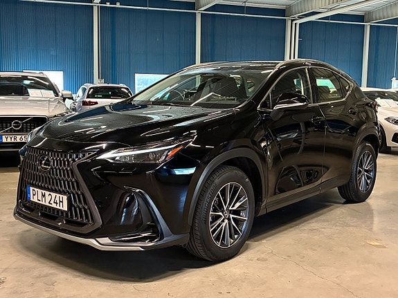 Lexus NX350h 7 of 26