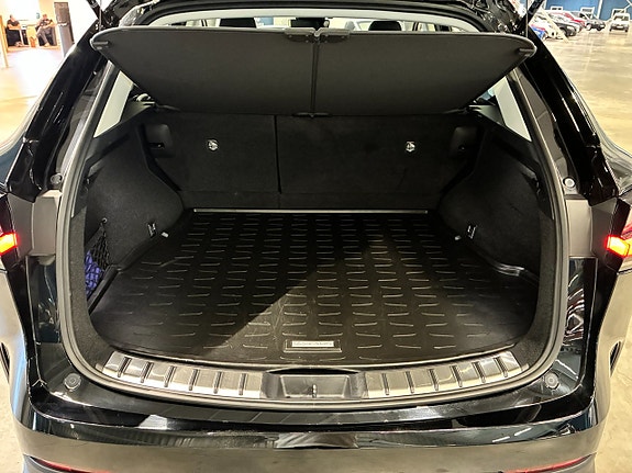 Lexus NX350h 11 of 26