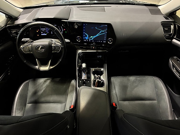 Lexus NX350h 17 of 26