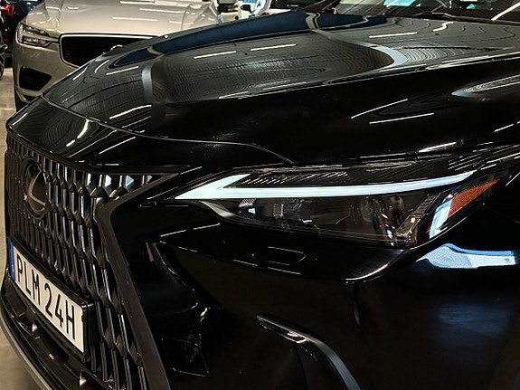 Lexus NX350h 8 of 26