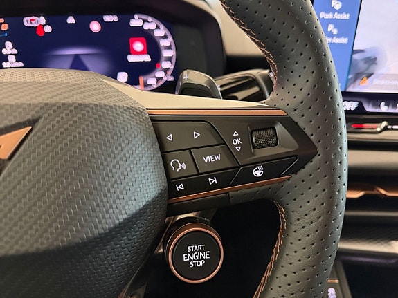 Cupra Terramar 20 of 21