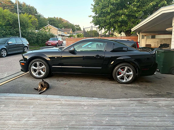 Ford Mustang 5 of 7