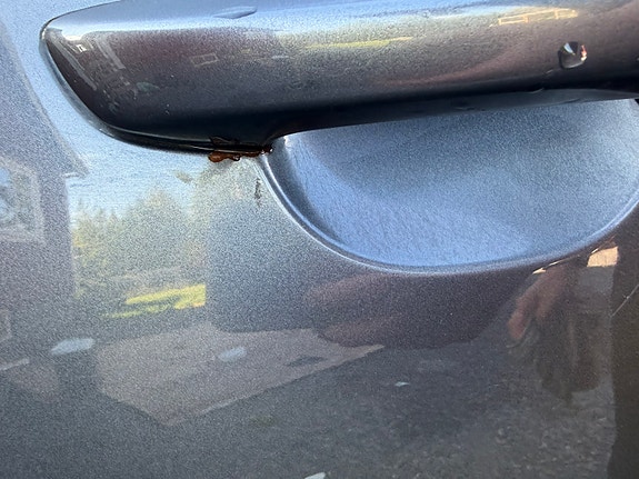 Volkswagen Sharan 7 of 23