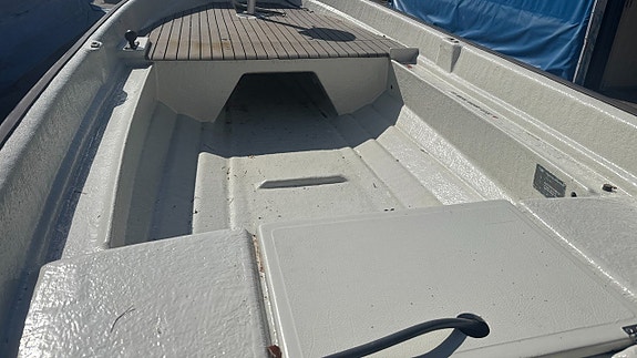 Ryds 465, Evinrude BE20BFLCOS 4 of 7