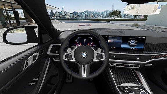 BMW X6 12 of 13