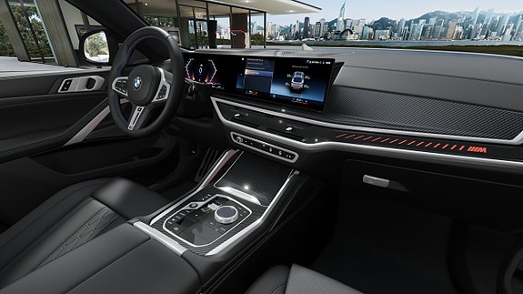 BMW X6 13 of 13