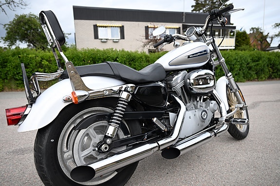 Harley-Davidson XL883C 4 of 4