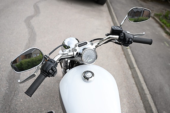 Harley-Davidson XL883C 3 of 4