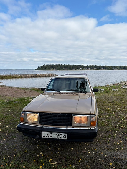 Volvo 245 5 of 29