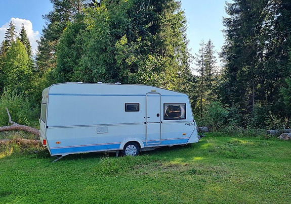 Polar Polarvagnen 520 GL Highback 3 of 16