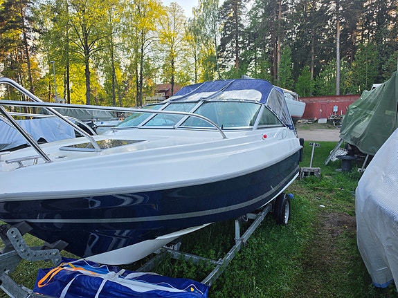 Pedantskött Uttern D55 Exclusive – Höstpris! 3 of 15