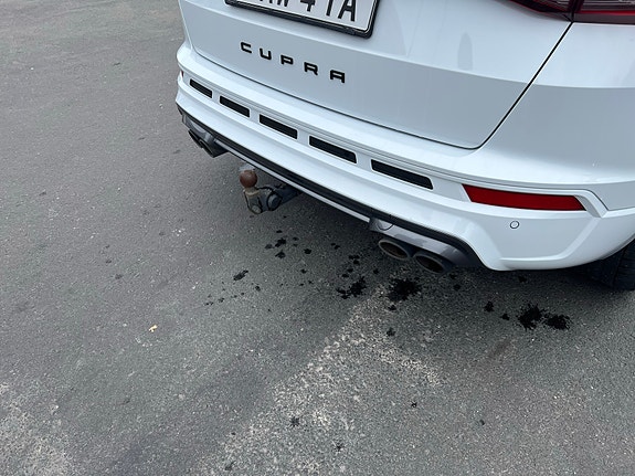Cupra Ateca 6 of 7