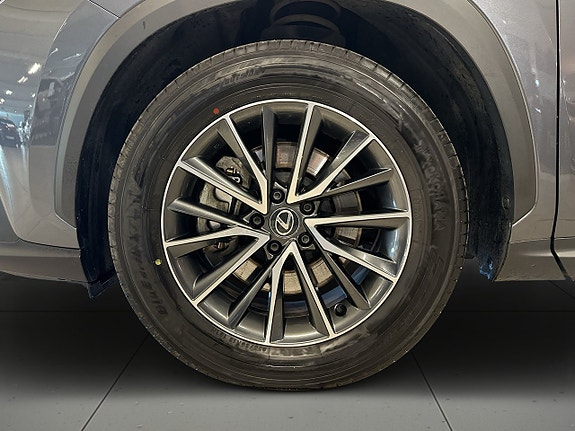 Lexus NX450h+ 14 of 19