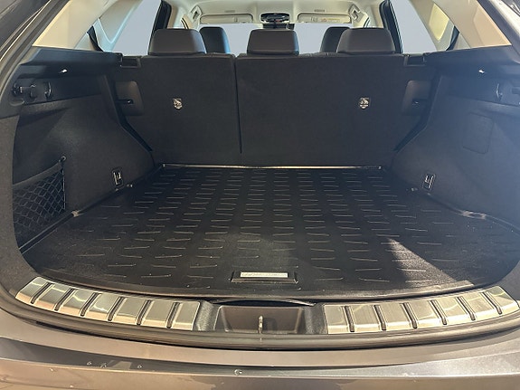 Lexus NX450h+ 12 of 19