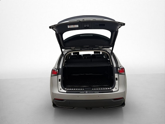Lexus NX300h 10 of 30