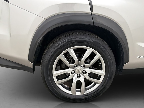 Lexus NX300h 29 of 30