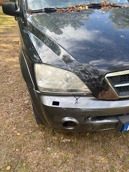 Kia Sorento 6 of 6