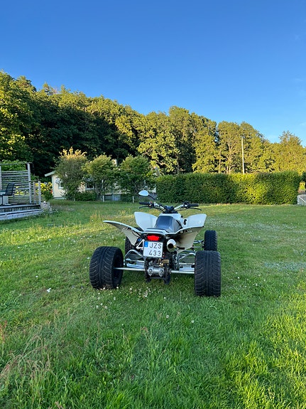 SMC Wildcat 503 3 of 6