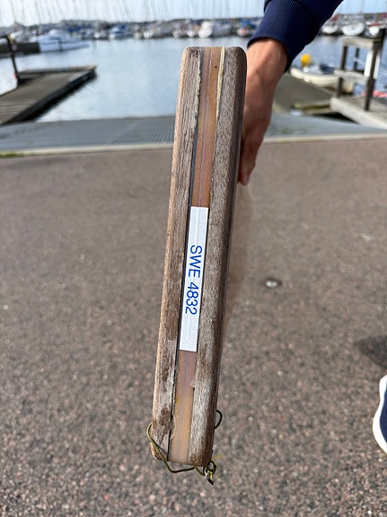ASTRO OPTIMIST TÄVLINGSJOLLE – SWE 4832 6 of 12