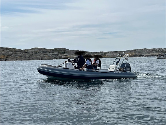 Ribcraft 4,8 2006/2022 5 of 6
