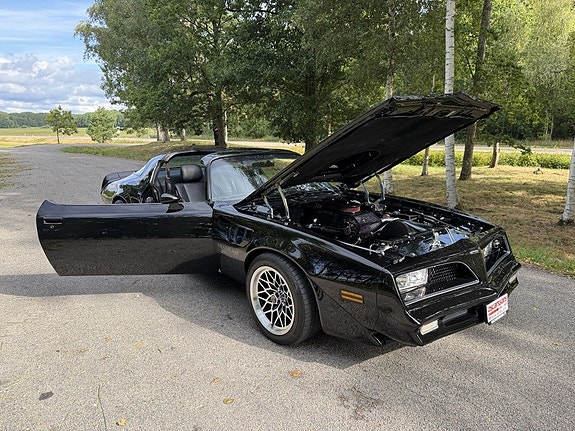 Pontiac Firebird 13 of 30