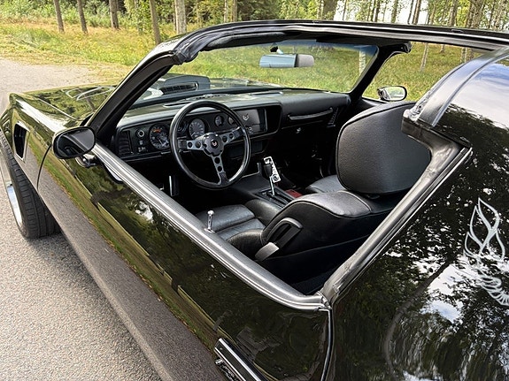 Pontiac Firebird 21 of 30