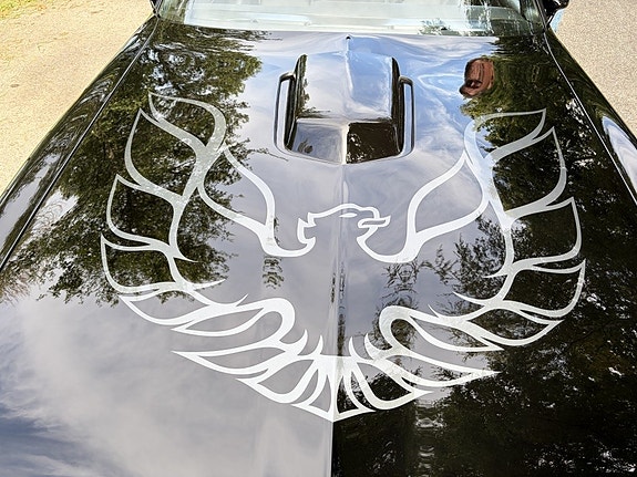 Pontiac Firebird 27 of 30