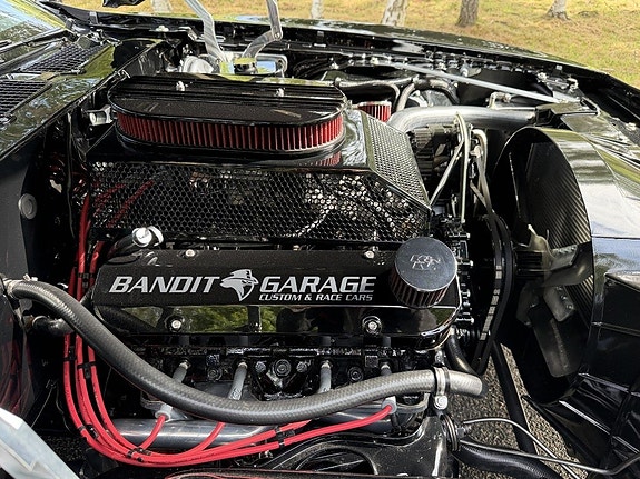 Pontiac Firebird 19 of 30