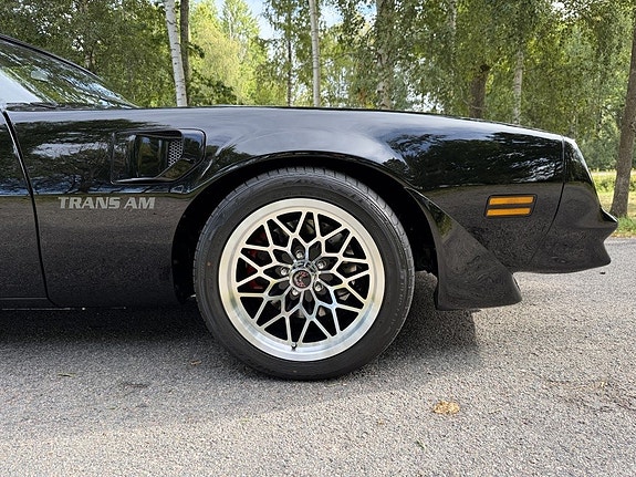 Pontiac Firebird 12 of 30