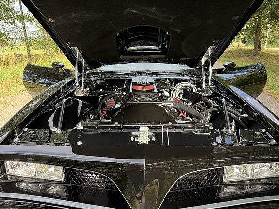 Pontiac Firebird 14 of 30