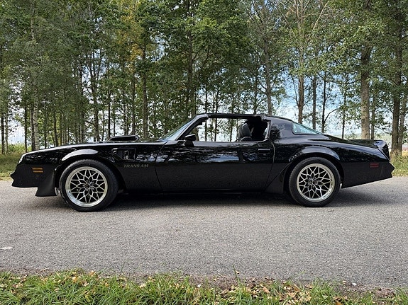 Pontiac Firebird 3 of 30