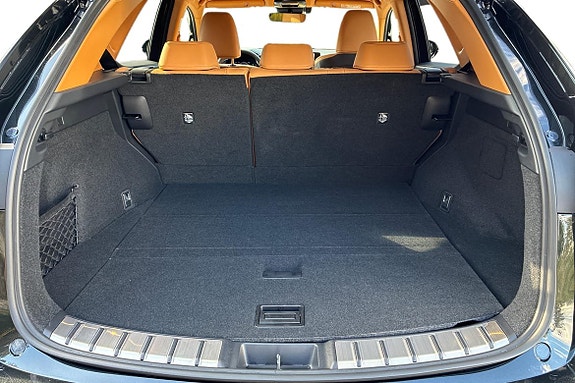 Lexus NX450h+ 22 of 25