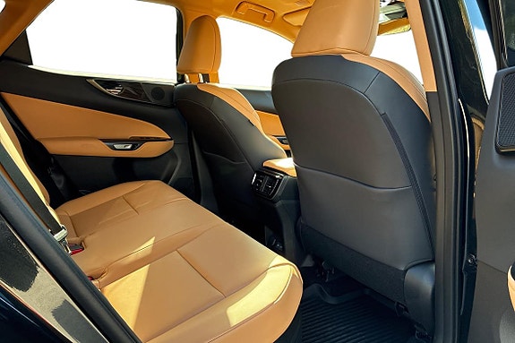 Lexus NX450h+ 11 of 25