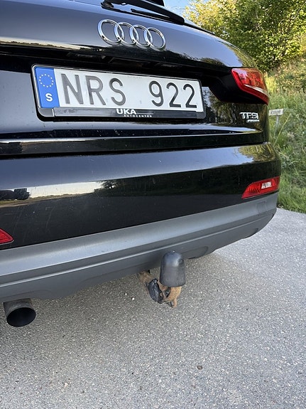 Audi Q3 17 of 19