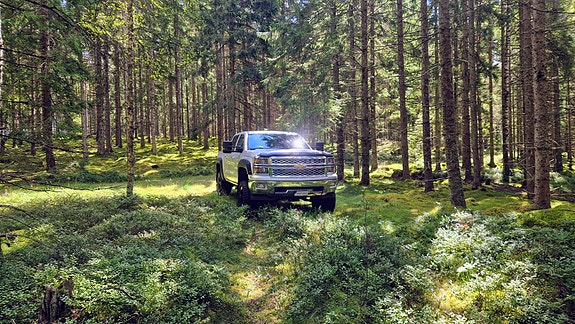 Chevrolet Silverado 1500 3 of 5