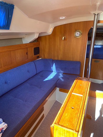 Scampi 30 4 of 8