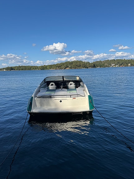 Sea Ray - Pachanga 22 - Mercruiser 454 Magnum V8 3 of 7