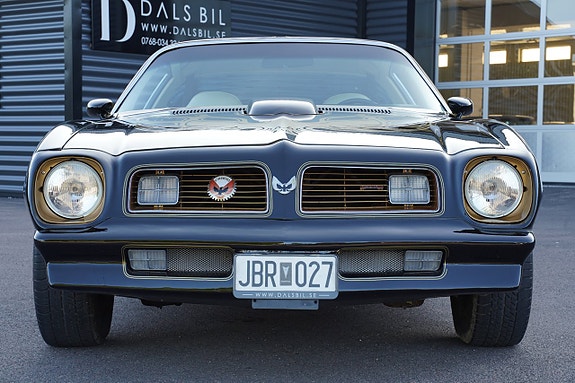 Pontiac Firebird 11 of 27
