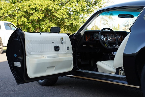 Pontiac Firebird 13 of 27