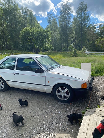 Ford Escort 5 of 7