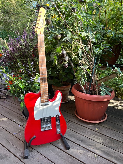 Squier Telecaster elgitarr röd